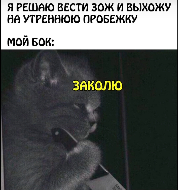  )   , , ,  , 