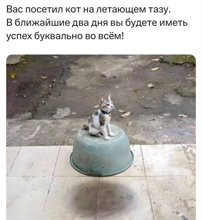        , , , , , , , ,  