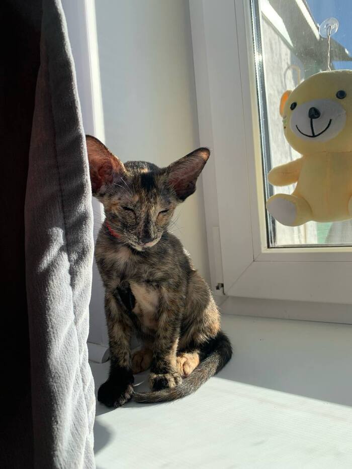 :    , , , ,  , ,  , 