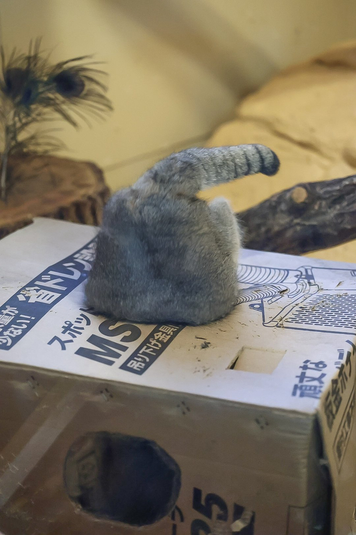     ,  ,  , ,  , , , 
