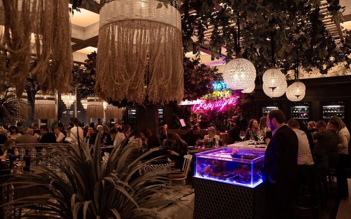 Аквариумы с мориками от студии дизайна общественных пространств Allartsdesign