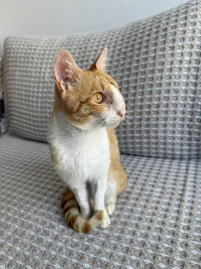 Рыжий хвастается брутальным профилем