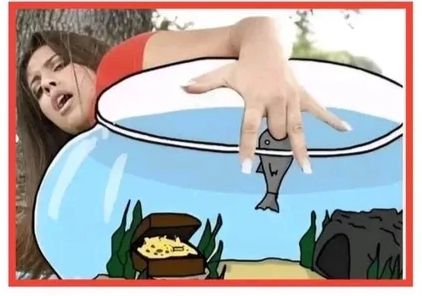      ,      