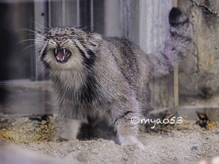 , -,    ?  ,  ,  ,  , , , , Instagram ()
