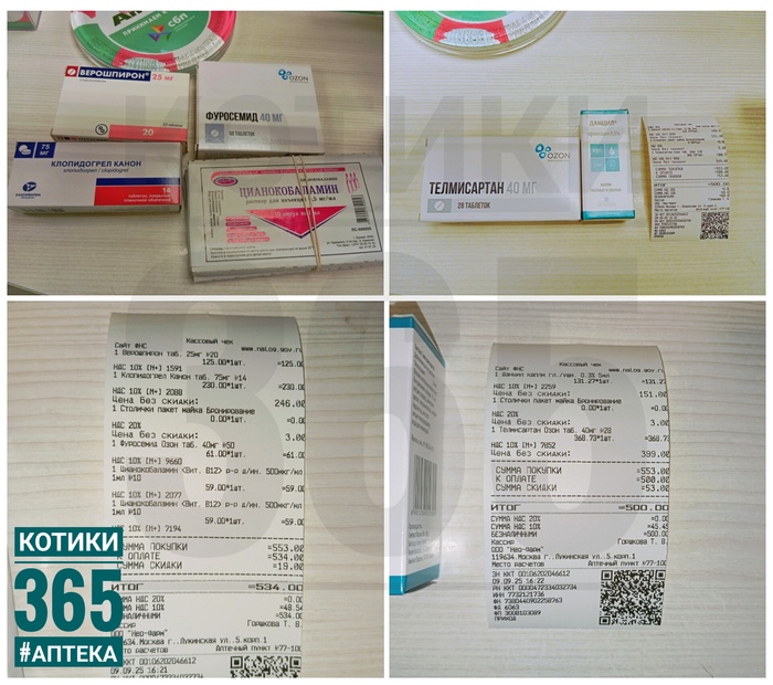 Оливка 09.09.2025 Кот, Пушистые, Приют, Кошатники, Бездомные животные, Длиннопост