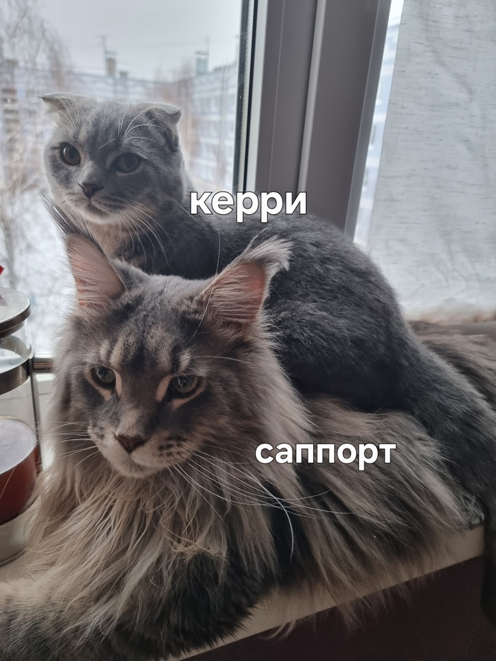 Dota2 Dota, Dota 2,  , , ,  , , , , , 