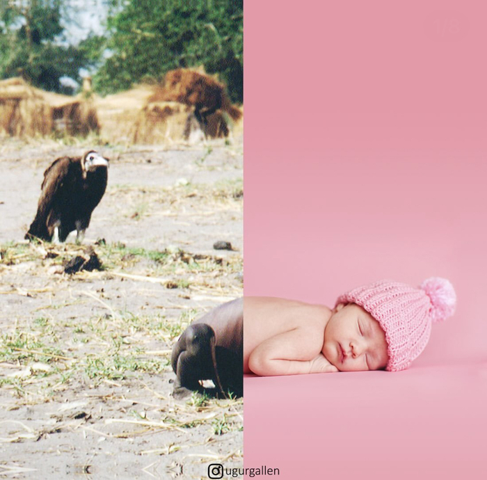 Слева фото «Стервятник и девочка»:<!--noindex--><a href="https://pikabu.ru/story/kontrastyi_13169159?u=https%3A%2F%2Fru.m.wikipedia.org%2Fwiki%2F%D0%A1%D1%82%D0%B5%D1%80%D0%B2%D1%8F%D1%82%D0%BD%D0%B8%D0%BA_%D0%B8_%D0%B4%D0%B5%D0%B2%D0%BE%D1%87%D0%BA%D0%B0&t=https%3A%2F%2Fru.m.wikipedia.org%2Fwiki%2F%D0%A1%D1%82%D0%B5%D1%80%D0%B2%D1%8F%D1%82%D0%BD%D0%B8%D0%BA_%D0%B8_%D0%B4%D0%B5%D0%B2%D0%BE%D1%87%D0%BA%D0%B0&h=9fb184ae4ea7de856c2227ad52318f41fecda5a9" title="https://ru.m.wikipedia.org/wiki/Стервятник_и_девочка" target="_blank" rel="nofollow noopener">https://ru.m.wikipedia.org/wiki/Стервятник_и_девочка</a><!--/noindex-->