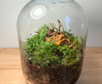 �������� ���������� � 3� �������� �����