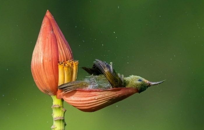 Не беспокоить!