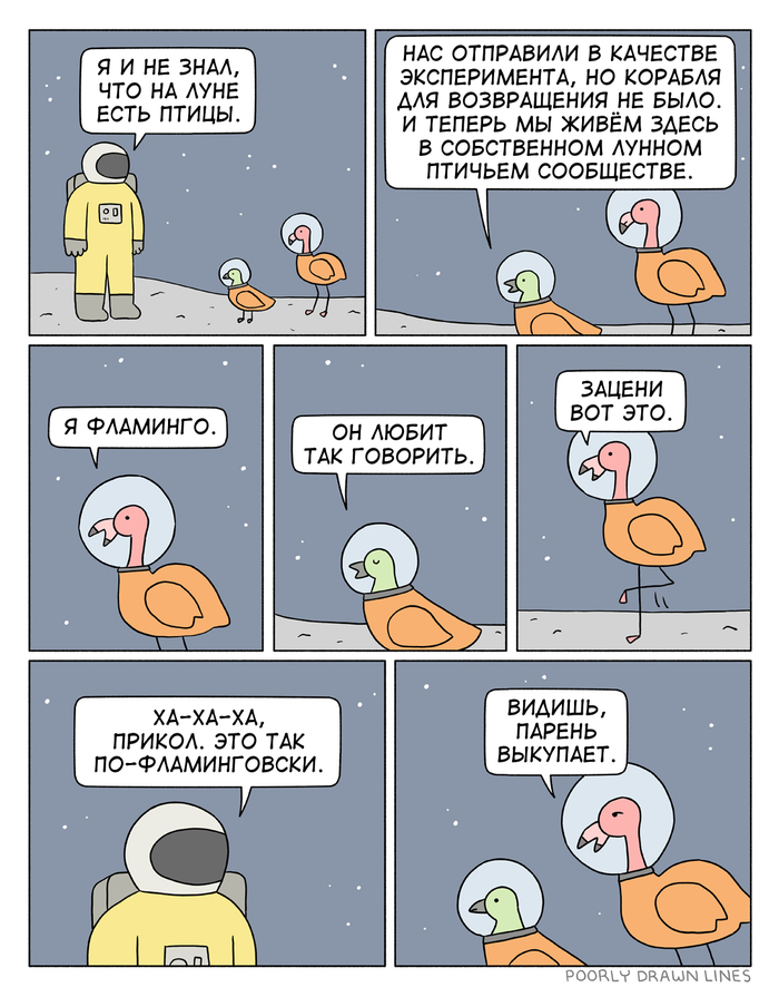     , Poorly Drawn Lines, , 