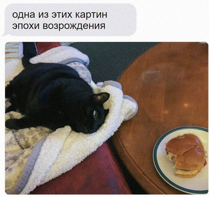      ,   , , , Telegram (),  