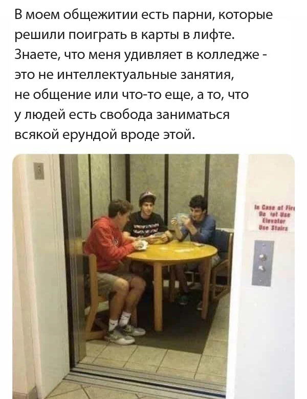     , , , ,   , Telegram ()