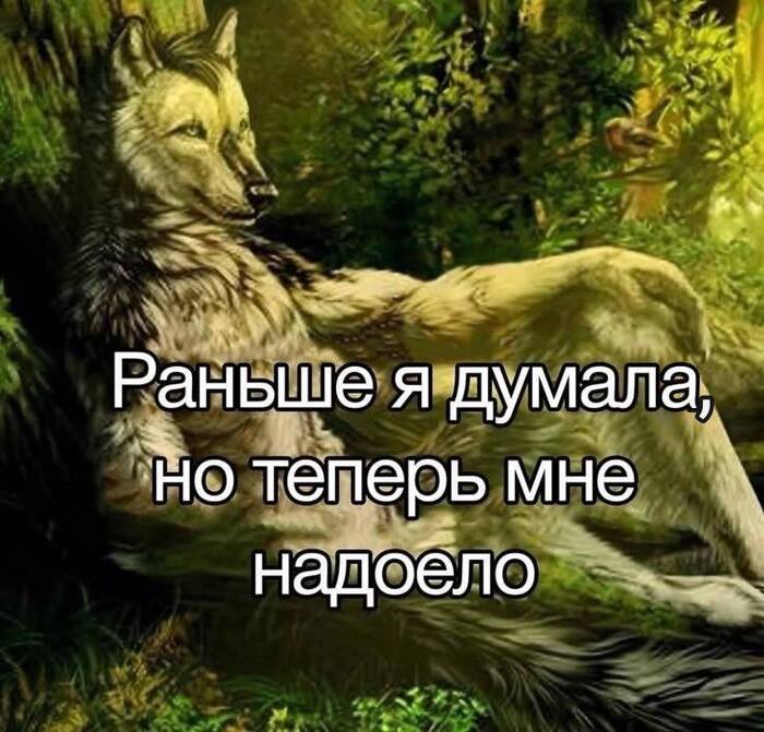  -   , Pikabu Publish Bot, , ,  (), , , , , , 