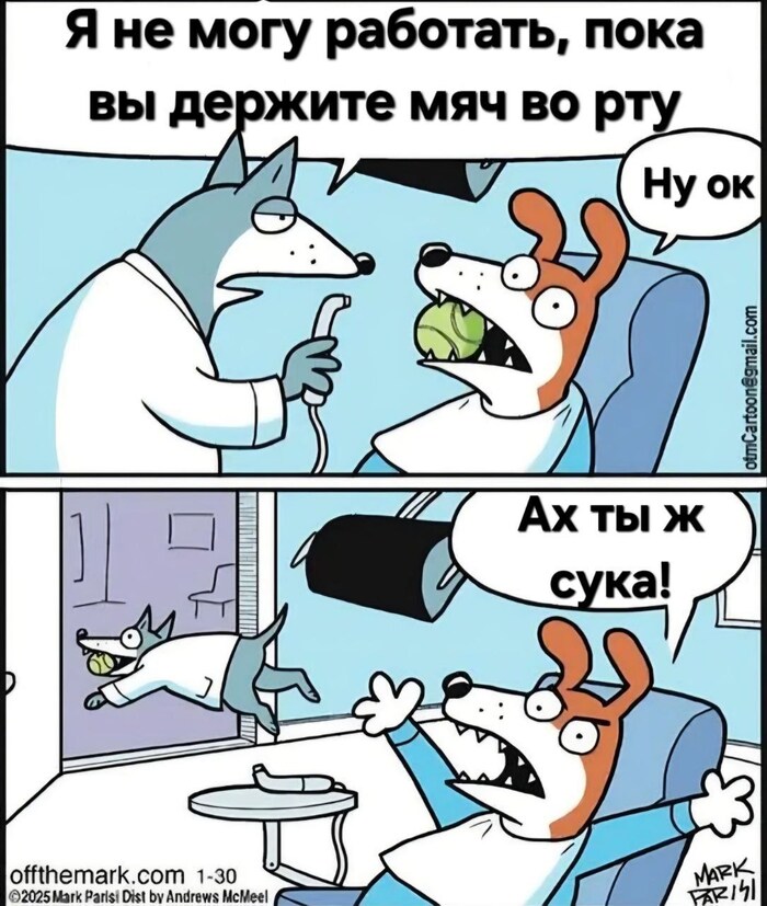   ,   , , , , 