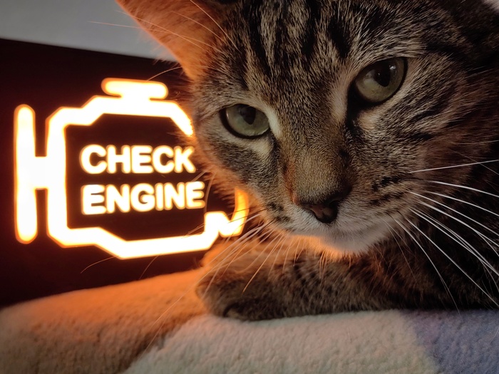  -  Check Engine  , , 3D , 3D , ,   , 3D , 