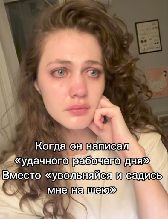    ,  , ,  ,   , , Telegram ()