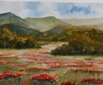 ����� ����