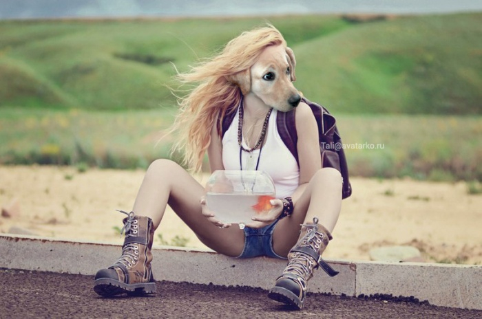    , , , 