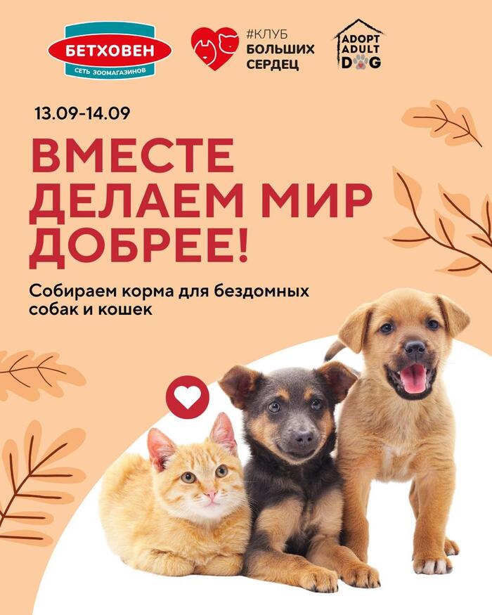      , , , , , ,  ,  ,   , ,  