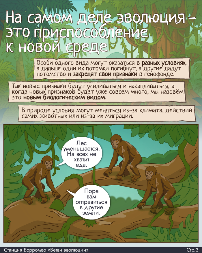 Ветви Эволюции