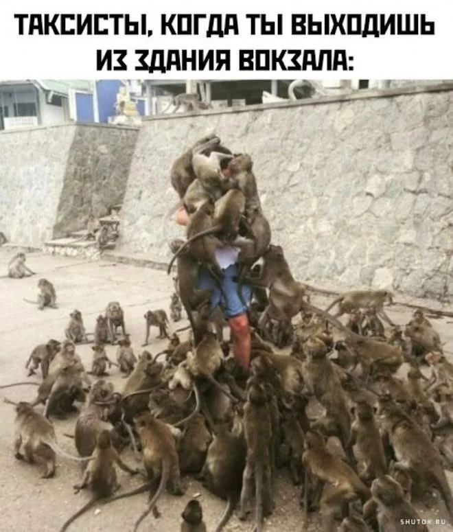 vhpflrul.webp