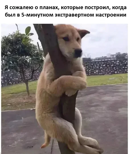 qg5vkquu.webp