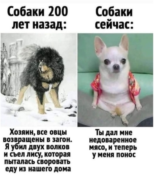 Раньше было лучше