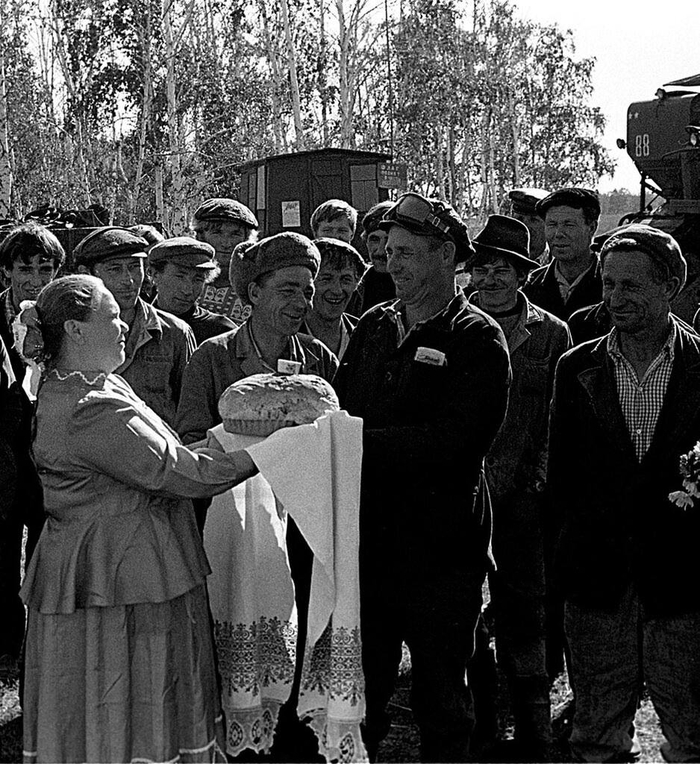 Каравай из зерна нового урожая победителям соцсоревнования, Челябинская область - Варненский район - Совхоз «Варненский». Сентябрь 1978 год