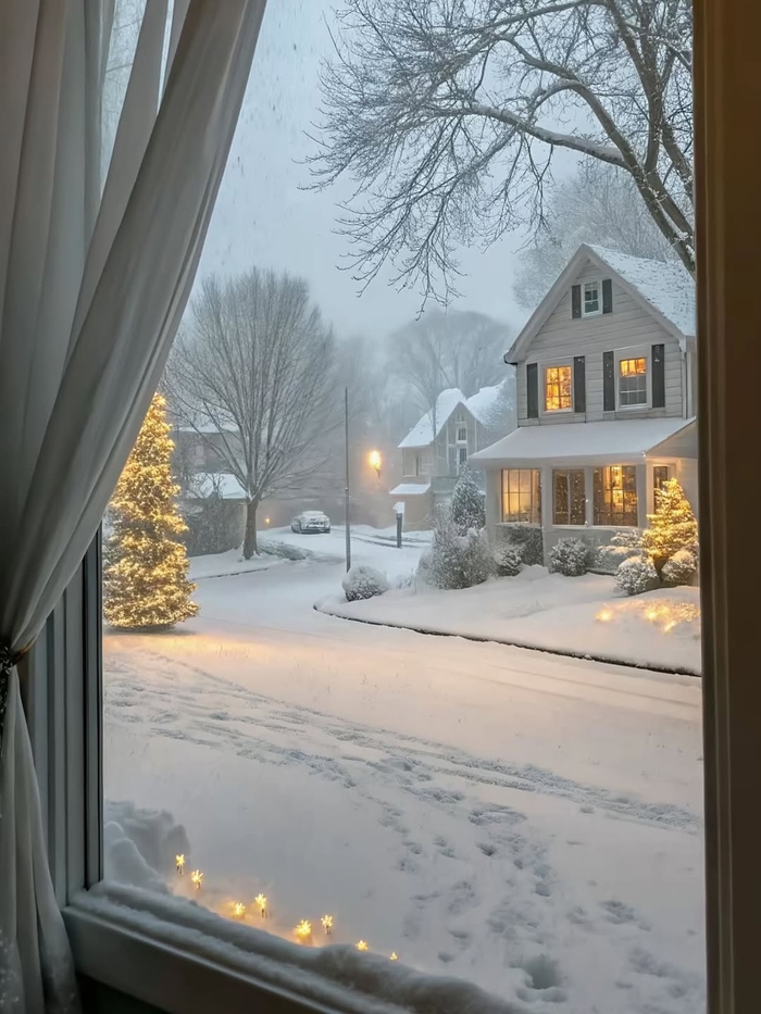 Бедные люди, не хватило денег на хороший забор из профлиста