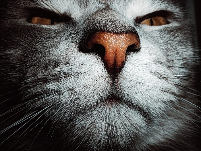 � ���������� ��� �������� � ������� �� �������,������ � �������� � ��������,������ ���� ��������,� ��������� ����� ��� ���,� ��������� �������� �� �� 100 ����������,������� ������� ����:)