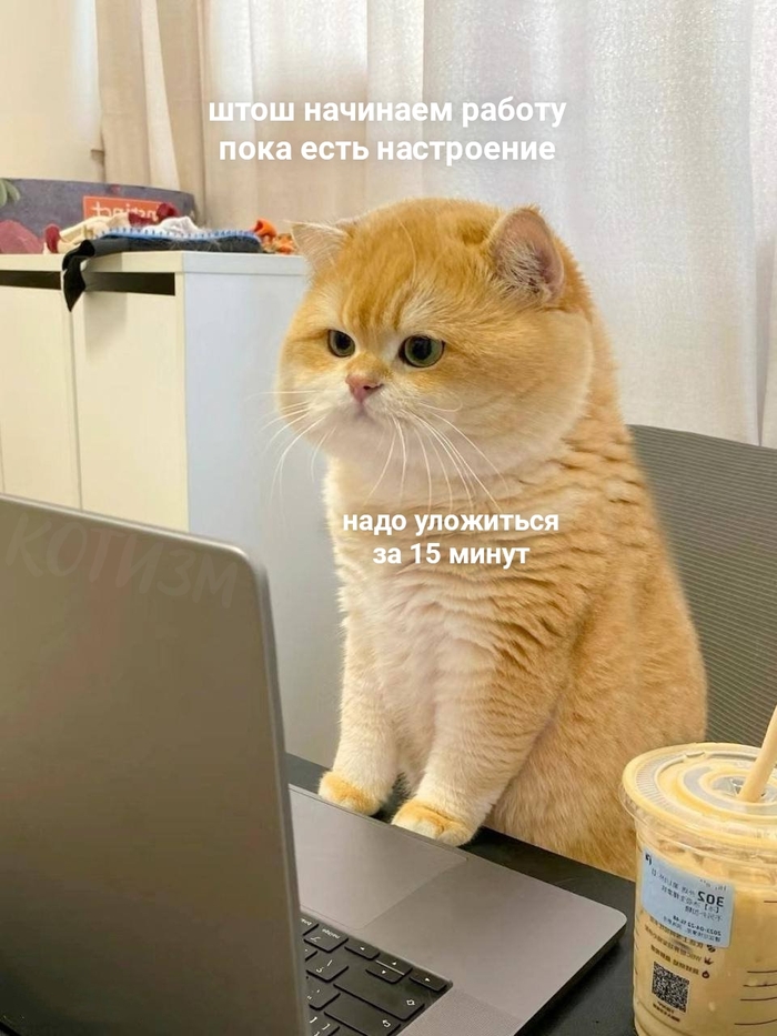 Продуктивной недели всем