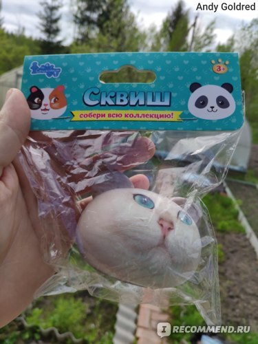 Ответ на пост «А вот у вас лично было ли когда-нибудь что-то такое, чего никогда в вашем в детстве или юности не было, но непременно хотелось получить?»