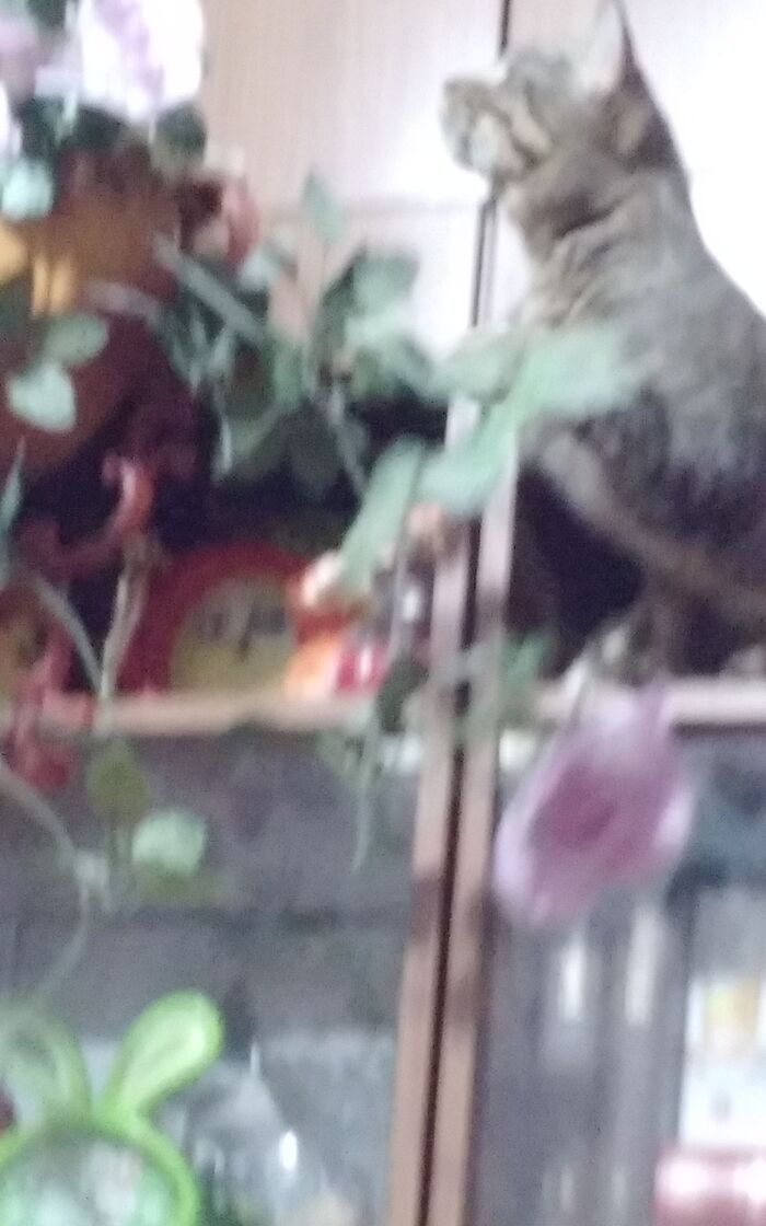  , , , , 