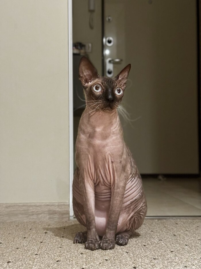 ,   .      , , ,  ,   (), , 