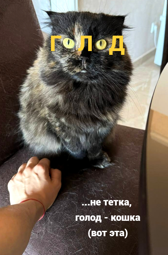  , ,   