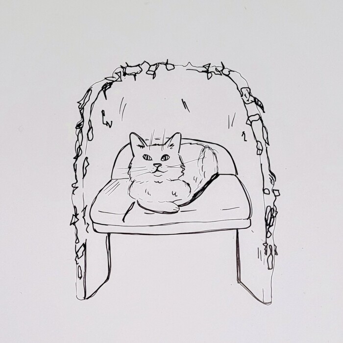  . 257/365