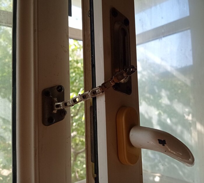 Кошатникам на заметку!