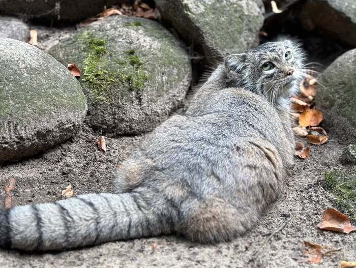 Не подходи ко мне, я обиделась