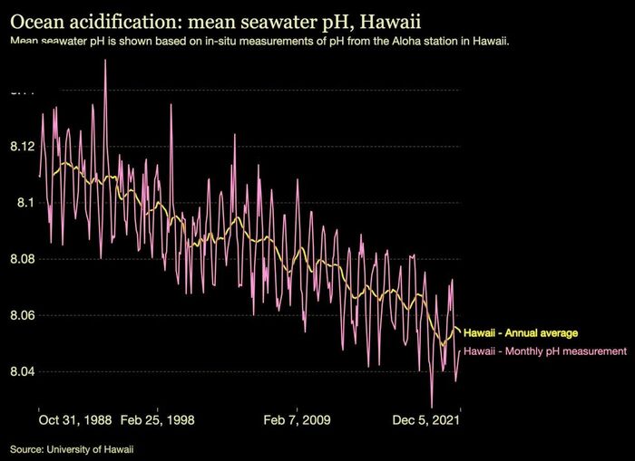 Примечательно, что данные в основных источниках заканчиваются 2022 годом...
