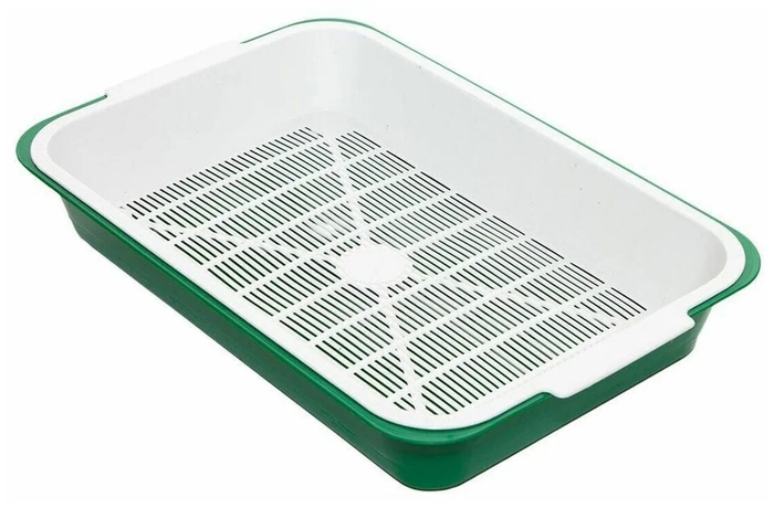     :          .     2025 