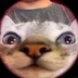 KarandashEvo