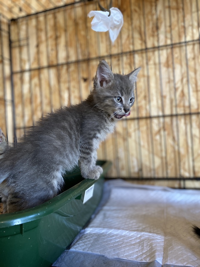 Аппетит замечательный!