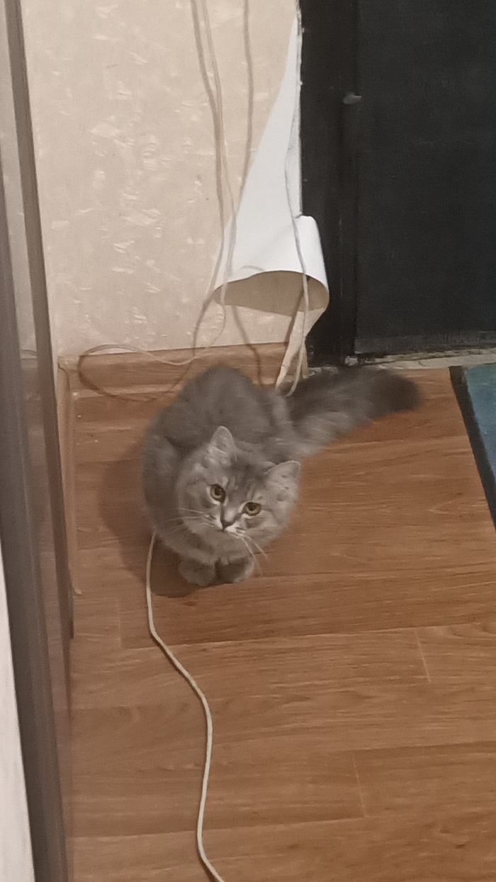 А кто это сделал?