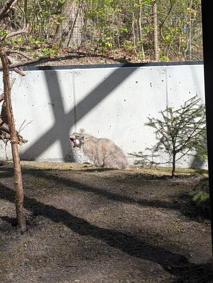   partyontheobjective.    <a href="https://pikabu.ru/story/dobrogo_dnya_ot_manuyelya_13194610?u=https%3A%2F%2Fmanulization.ru%2Fmanuls%2Faytas%2Fphotos%2FrdTG9hoNw04CW2q9&t=manulization.ru&h=22244f886feaa832f6e1213ea9ea32a8278f9b87" title="https://manulization.ru/manuls/aytas/photos/rdTG9hoNw04CW2q9" target="_blank" rel="nofollow noopener">manulization.ru</a>