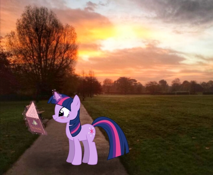                 (   ,    2- ).