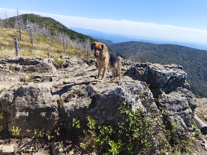 Покорительница)