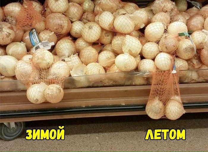 Зимой и летом