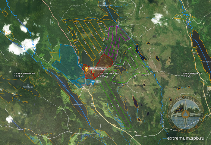 Поиск пропавшей женщины 83 лет. Начало