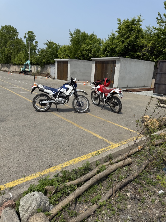 ������ �����������