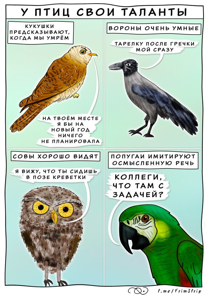 A well a everybody's heard about the bird